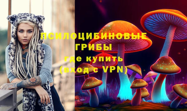 мяу мяу мука Аркадак