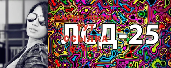 хмурый Туринск