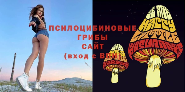 мяу мяу мука Аркадак