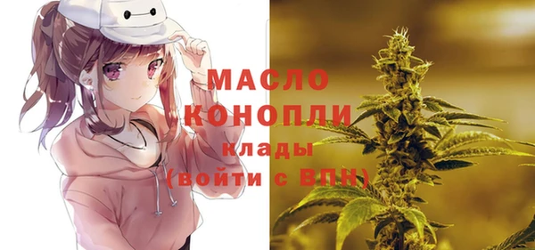 хмурый Туринск