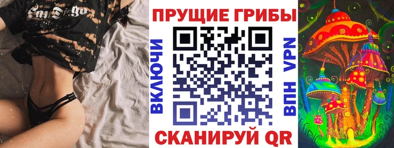 Псилоцибиновые грибы Cubensis  Хвалынск 